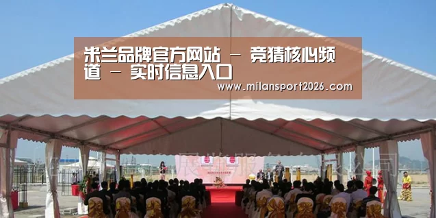 案例标题三
