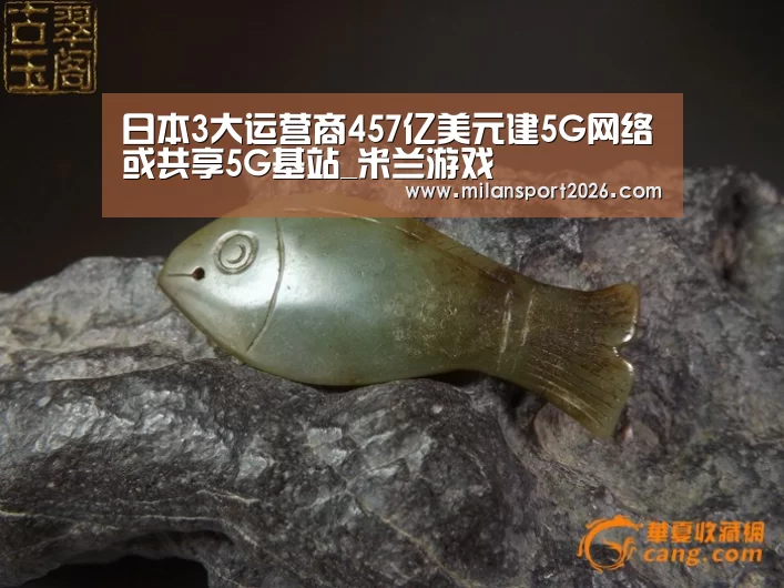 日本3大运营商457亿美元建5G网络或共享5G基站_米兰游戏(图1) 米兰游戏