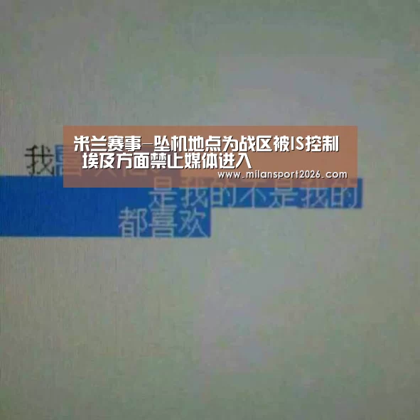 米兰赛事-坠机地点为战区被IS控制 埃及方面禁止媒体进入(图4) 米兰首页