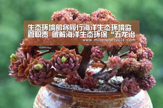 生态环境部将履行海洋生态环境监管职责 破解海洋生态环保“五龙治海”难题_米兰游戏(图2) 米兰游戏