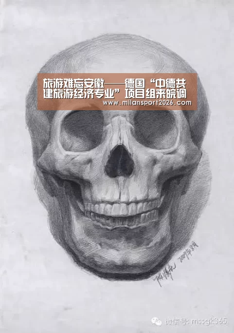 旅游难忘安徽——德国“中德共建旅游经济专业”项目组来皖调研-米兰首页